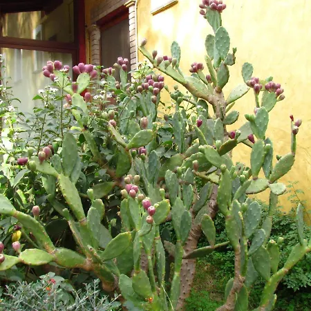 Agriturismo Simbirizzi Quartucciu