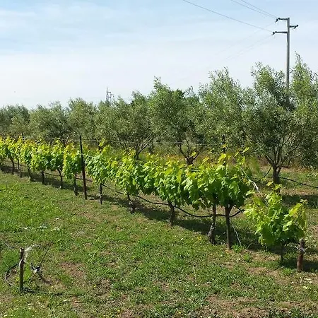 Agriturismo Simbirizzi Alloggio per agriturismo